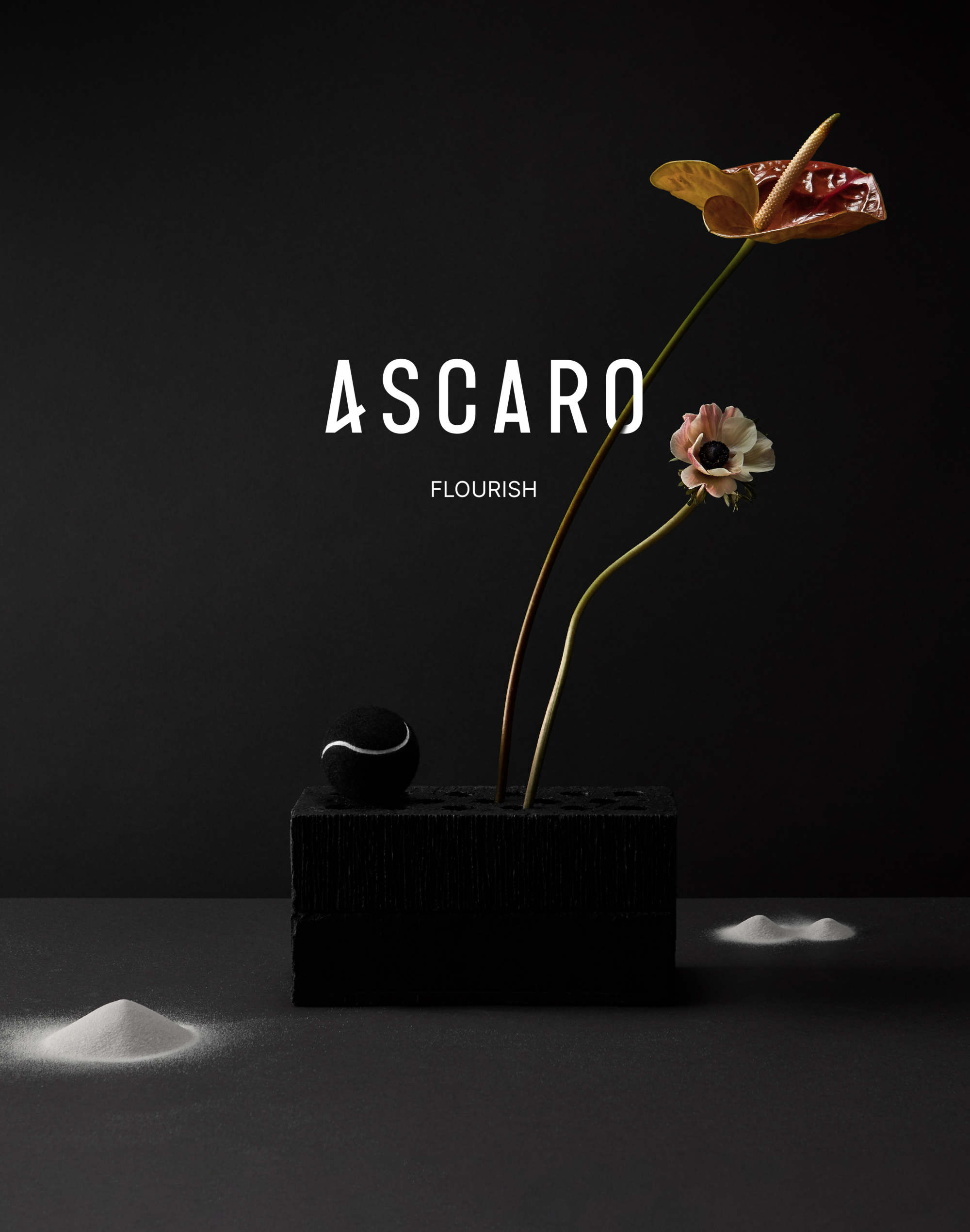Ascaro flourish.