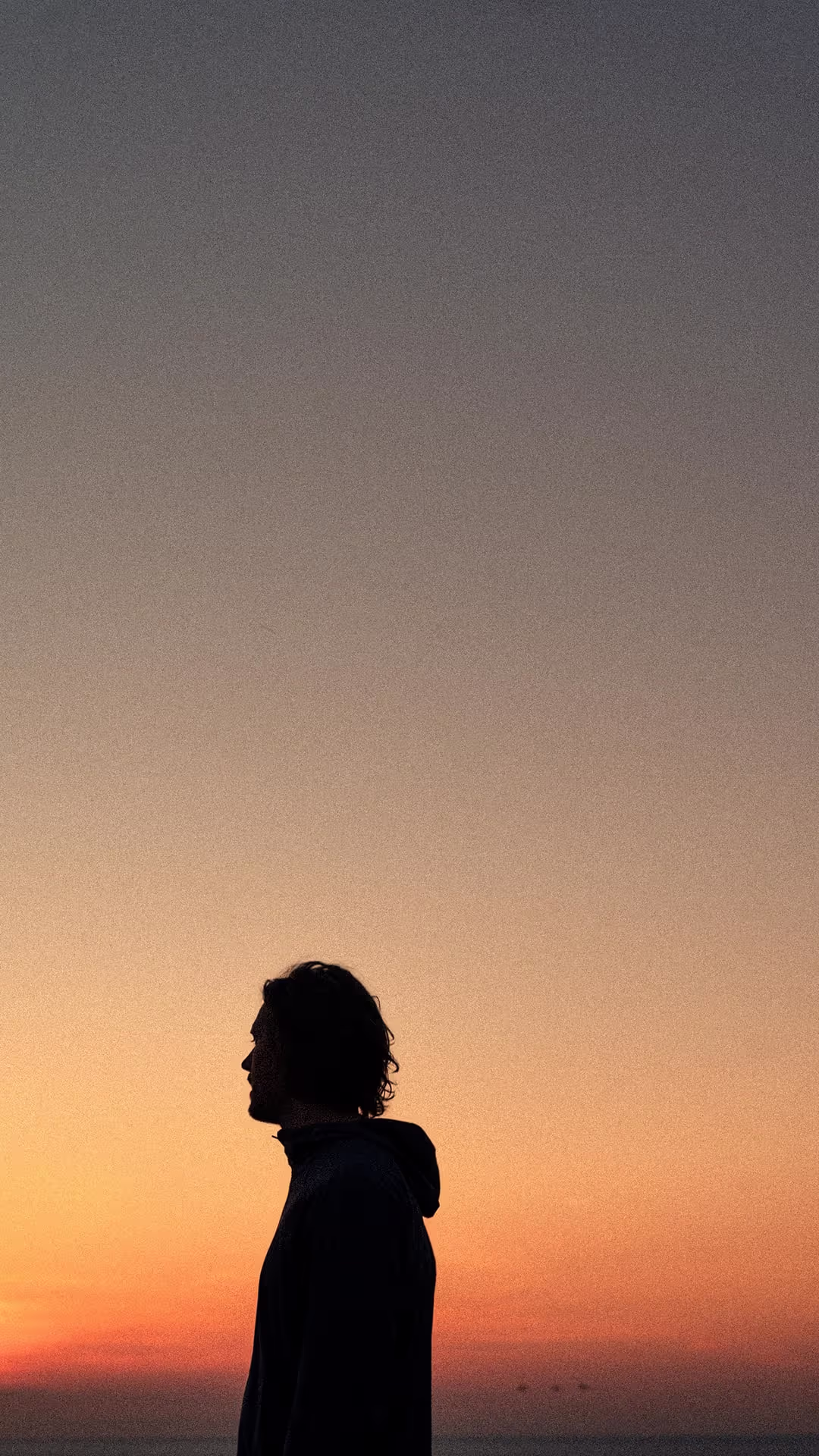 The siluett of a man against a summer evening sky